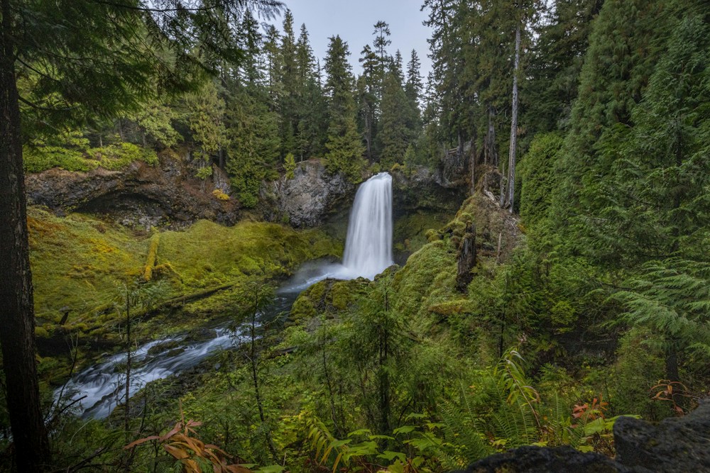 A quiet forest waterfall